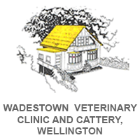 Wadestown Veterinary Clinic And Cattery